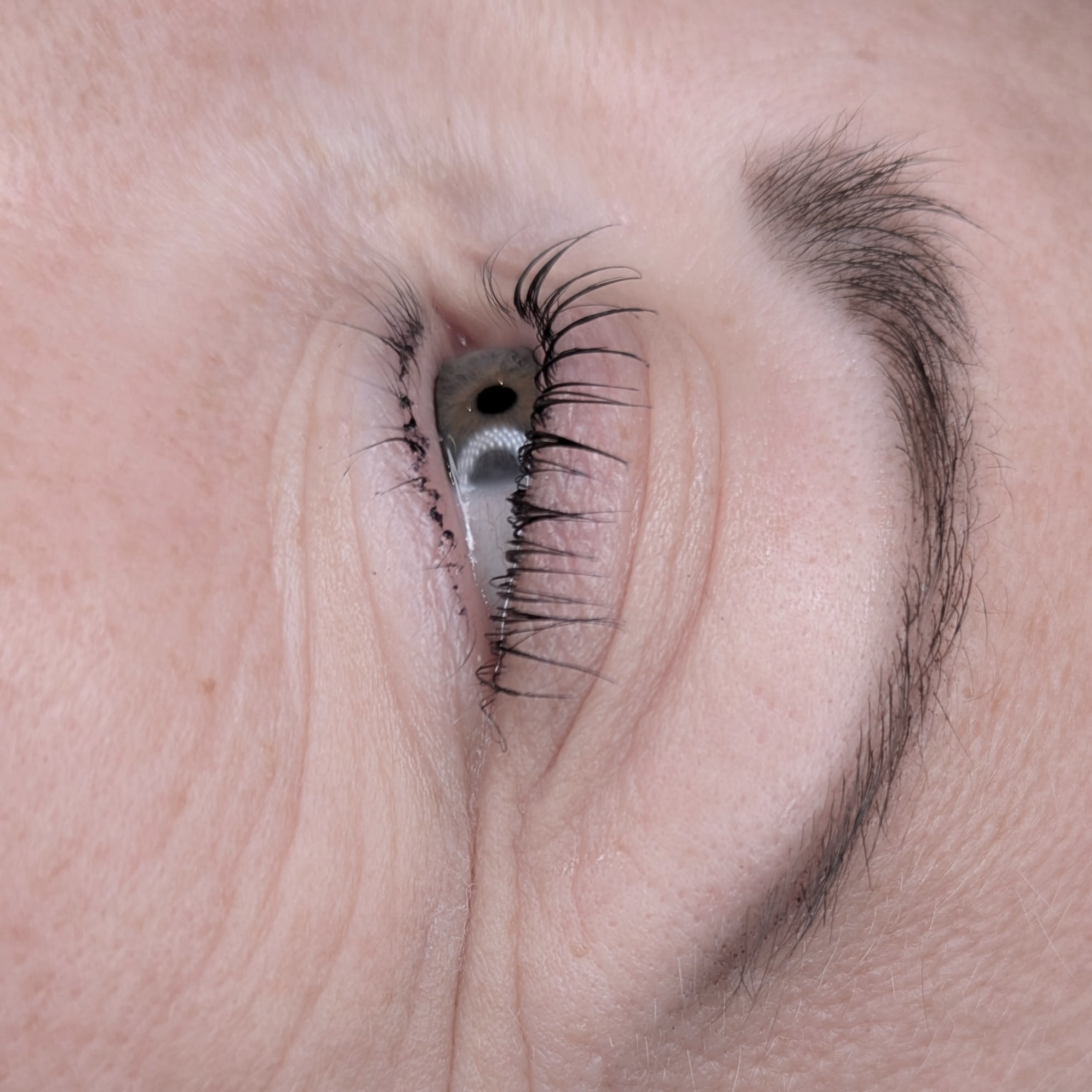 Lashes & Brows